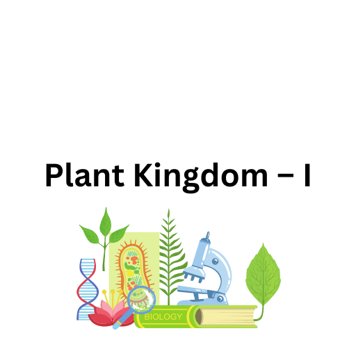 Plant Kingdom – I